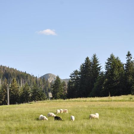 Apartamenty JSZI Zakopane Bagian luar foto