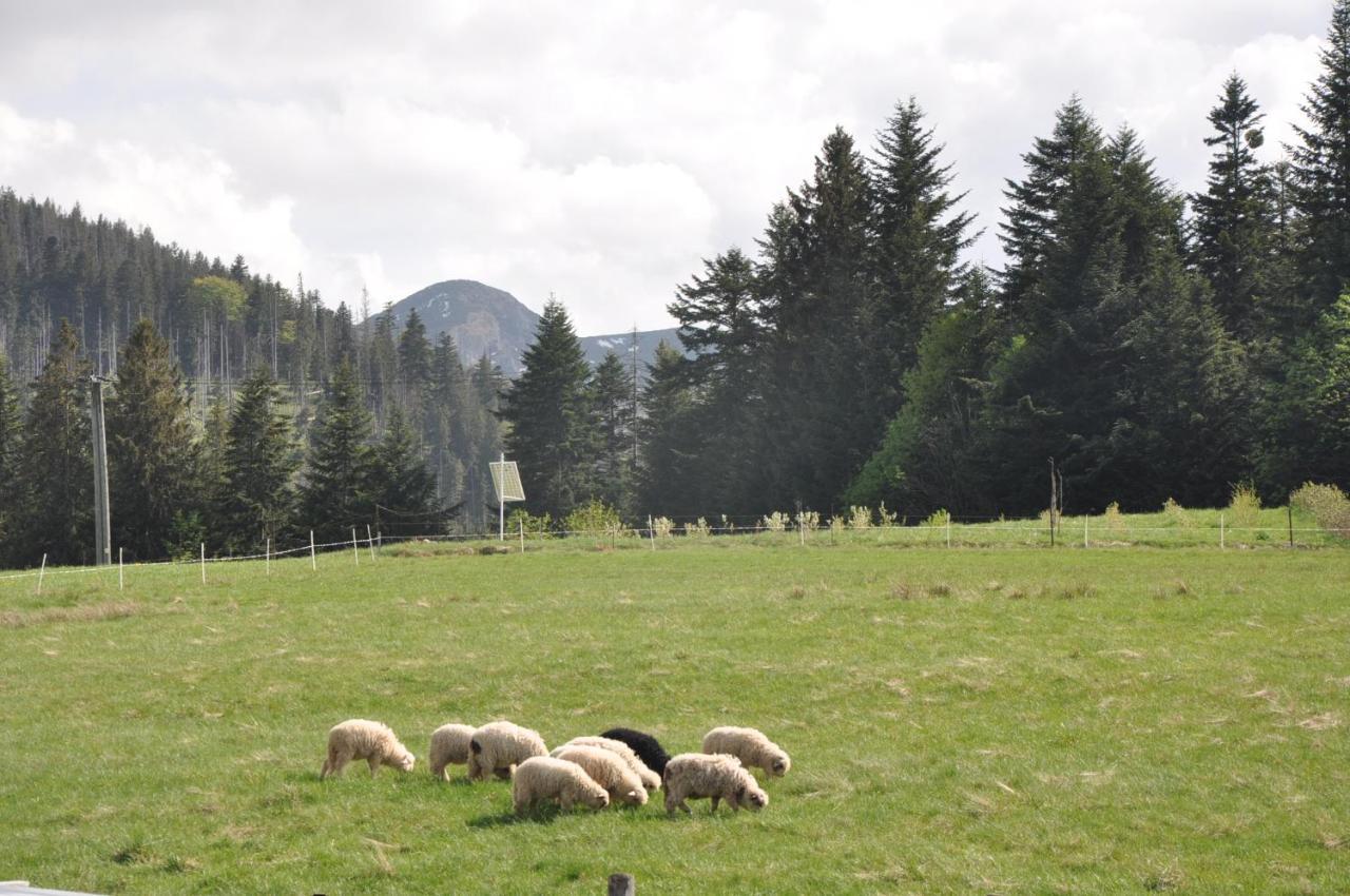 Apartamenty JSZI Zakopane Bagian luar foto