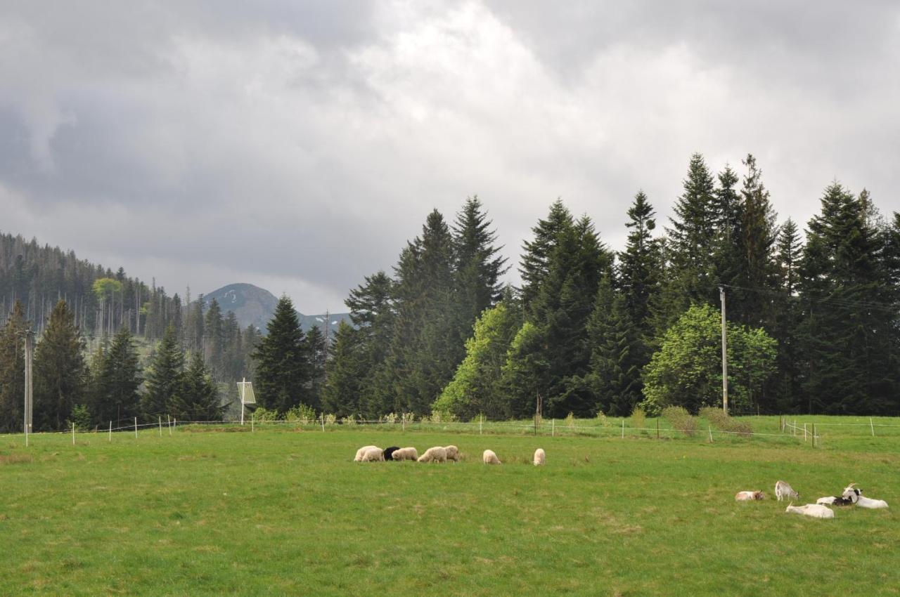 Apartamenty JSZI Zakopane Bagian luar foto