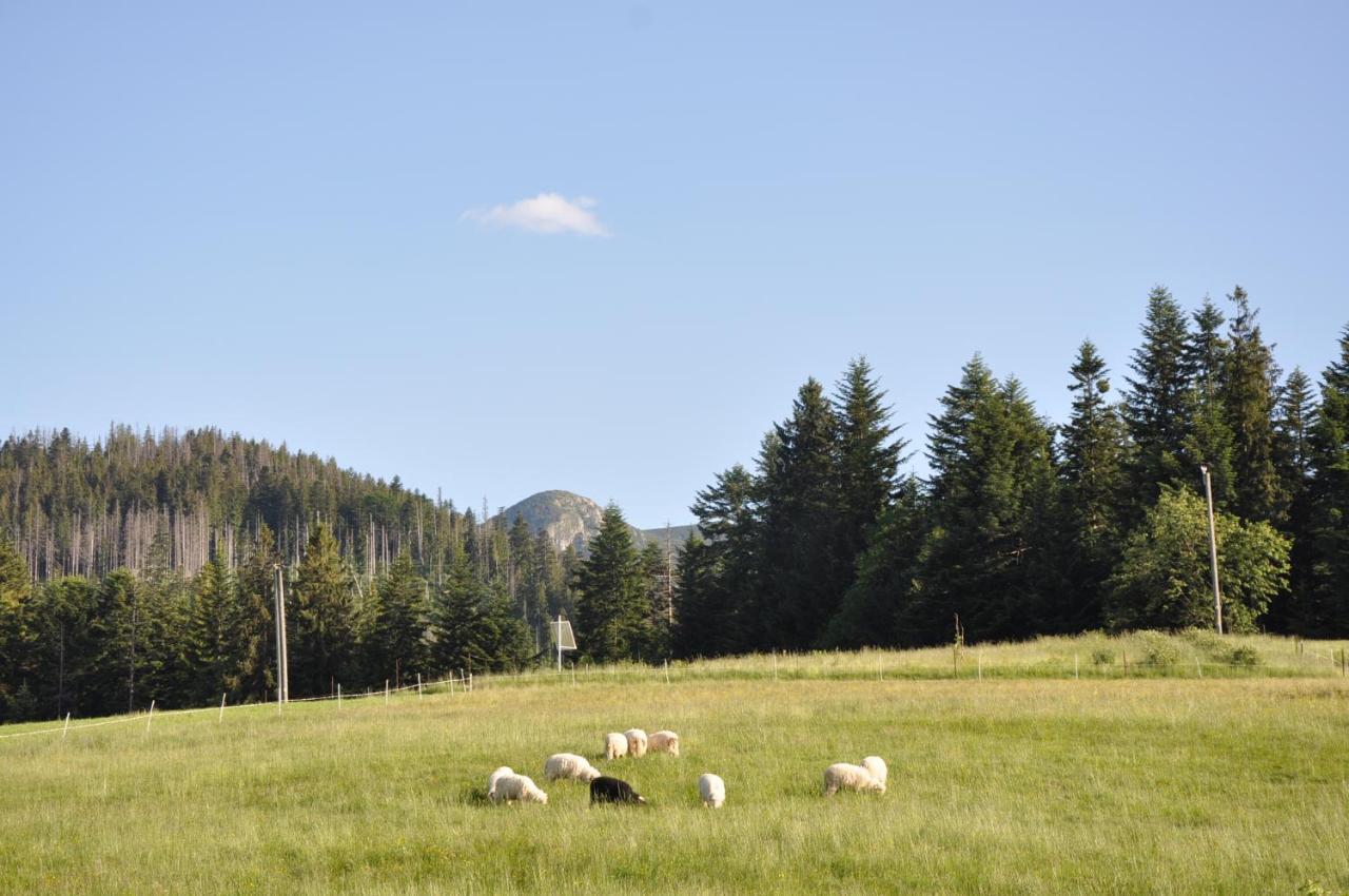 Apartamenty JSZI Zakopane Bagian luar foto